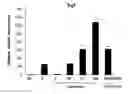 Fig. 01 - Composition for inducing differentiation and protection of neural stem cells and method for inducing neuro-regeneration using the same composition