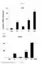 Fig. 08 - Composition for inducing differentiation and protection of neural stem cells and method for inducing neuro-regeneration using the same composition