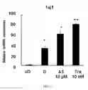 Fig. 09 - Composition for inducing differentiation and protection of neural stem cells and method for inducing neuro-regeneration using the same composition