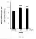 Fig. 23 - Composition for inducing differentiation and protection of neural stem cells and method for inducing neuro-regeneration using the same composition