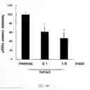 Fig. 32 - Composition for inducing differentiation and protection of neural stem cells and method for inducing neuro-regeneration using the same composition