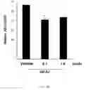 Fig. 33 - Composition for inducing differentiation and protection of neural stem cells and method for inducing neuro-regeneration using the same composition