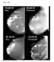Fig. 02 - Pharmaceutical use