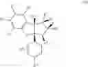 Fig. 09 - COMBINATION THERAPY WITH A FLAVAGLINE AND 2-DEOXYGLUCOSE