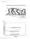 Fig. 02 - SUSTAINED RELEASE OF ANTIINFECTIVES