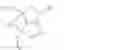 Fig. 09 - Allele specific modulators of P23H rhodopsin