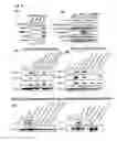 Fig. 07 - Compositions and methods comprising growth factors, chondroitin and glucosamine for degenerative disc regeneration