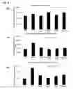 Fig. 14 - Compositions and methods comprising growth factors, chondroitin and glucosamine for degenerative disc regeneration