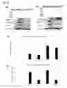 Fig. 15 - Compositions and methods comprising growth factors, chondroitin and glucosamine for degenerative disc regeneration