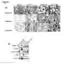 Fig. 16 - Compositions and methods comprising growth factors, chondroitin and glucosamine for degenerative disc regeneration