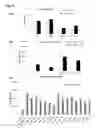 Fig. 19 - Compositions and methods comprising growth factors, chondroitin and glucosamine for degenerative disc regeneration