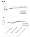 Fig. 22 - Compositions and methods comprising growth factors, chondroitin and glucosamine for degenerative disc regeneration