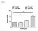 Fig. 08 - Injectable hydrogels that promote mineralization and afford sustained release of bioactive ions