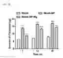 Fig. 12 - Injectable hydrogels that promote mineralization and afford sustained release of bioactive ions