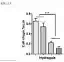 Fig. 15 - Injectable hydrogels that promote mineralization and afford sustained release of bioactive ions