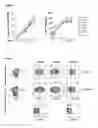 Fig. 06 - Methods for the production of TCRγδ T cells