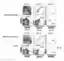Fig. 10 - Conditioning protocols and use of same for tissue regeneration