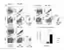 Fig. 16 - Conditioning protocols and use of same for tissue regeneration