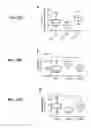 Fig. 43 - Conditioning protocols and use of same for tissue regeneration