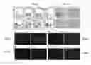Fig. 46 - Conditioning protocols and use of same for tissue regeneration