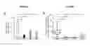 Fig. 47 - Conditioning protocols and use of same for tissue regeneration
