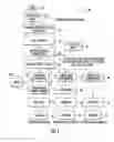 Fig. 02 - EUGLENA DERIVED COMPOSITION HAVING IMMUNE RESPONSE INDUCING COMPONENTS