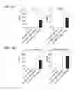 Fig. 05 - Augmenting the immune response by promoting cell death of immune cells