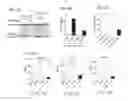 Fig. 07 - Augmenting the immune response by promoting cell death of immune cells