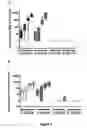 Fig. 05 - Immunogenic compositions