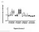 Fig. 06 - Immunogenic compositions
