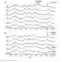 Fig. 08 - Protective antigen complexes with increased stability and uses thereof