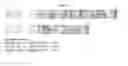 Fig. 07 - FMDV and E2 fusion proteins and uses thereof