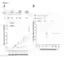 Fig. 06 - Methods for enhancing antigen-specific immune responses