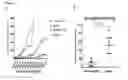 Fig. 08 - Methods for enhancing antigen-specific immune responses