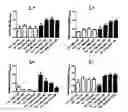 Fig. 02 - Vaccine adjuvant composition comprising inulin particles