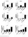Fig. 03 - Vaccine adjuvant composition comprising inulin particles