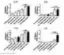 Fig. 06 - Vaccine adjuvant composition comprising inulin particles
