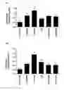 Fig. 07 - Vaccine adjuvant composition comprising inulin particles