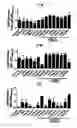 Fig. 08 - Vaccine adjuvant composition comprising inulin particles