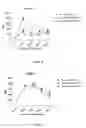 Fig. 07 - TLR AGONISTS FOR REDUCING ACTIVATION-INDUCED PD-1 EXPRESSION ON T CELLS AND METHODS OF USE