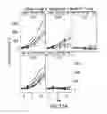 Fig. 12 - Combination of a PD-1 antagonist and CPG-C type oligonucleotide for treating cancer