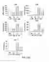 Fig. 23 - Combination of a PD-1 antagonist and CPG-C type oligonucleotide for treating cancer