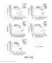 Fig. 26 - Combination of a PD-1 antagonist and CPG-C type oligonucleotide for treating cancer