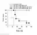 Fig. 29 - Combination of a PD-1 antagonist and CPG-C type oligonucleotide for treating cancer