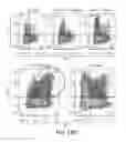 Fig. 33 - Combination of a PD-1 antagonist and CPG-C type oligonucleotide for treating cancer