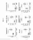 Fig. 14 - Antibodies against LIF and uses thereof