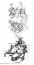 Fig. 19 - Antibodies against LIF and uses thereof