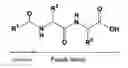 Fig. 02 - STICK-SHAPED BASE MATERIAL COMPRISING LIPID PEPTIDE COMPOUND