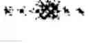 Fig. 02 - Injectable solution at pH 7 comprising at least one basal insulin the isoelectric point of which is between 5.8 and 8.5 and a hydrophobized anionic polymer