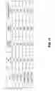 Fig. 20 - Conjugated compounds comprising cysteine-engineered antibodies